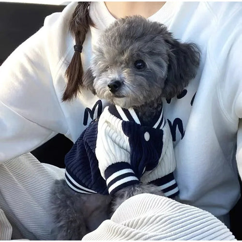 ⚾ The "Varsity Vibe" Baseball Jacket