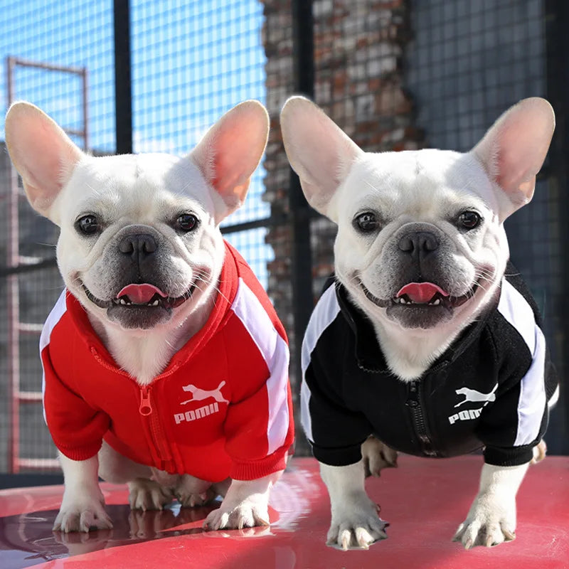 🏎️ The "Hype-Pup" Tracksuit