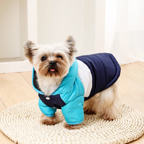 ☕ The "Latte" Quilted Puffer