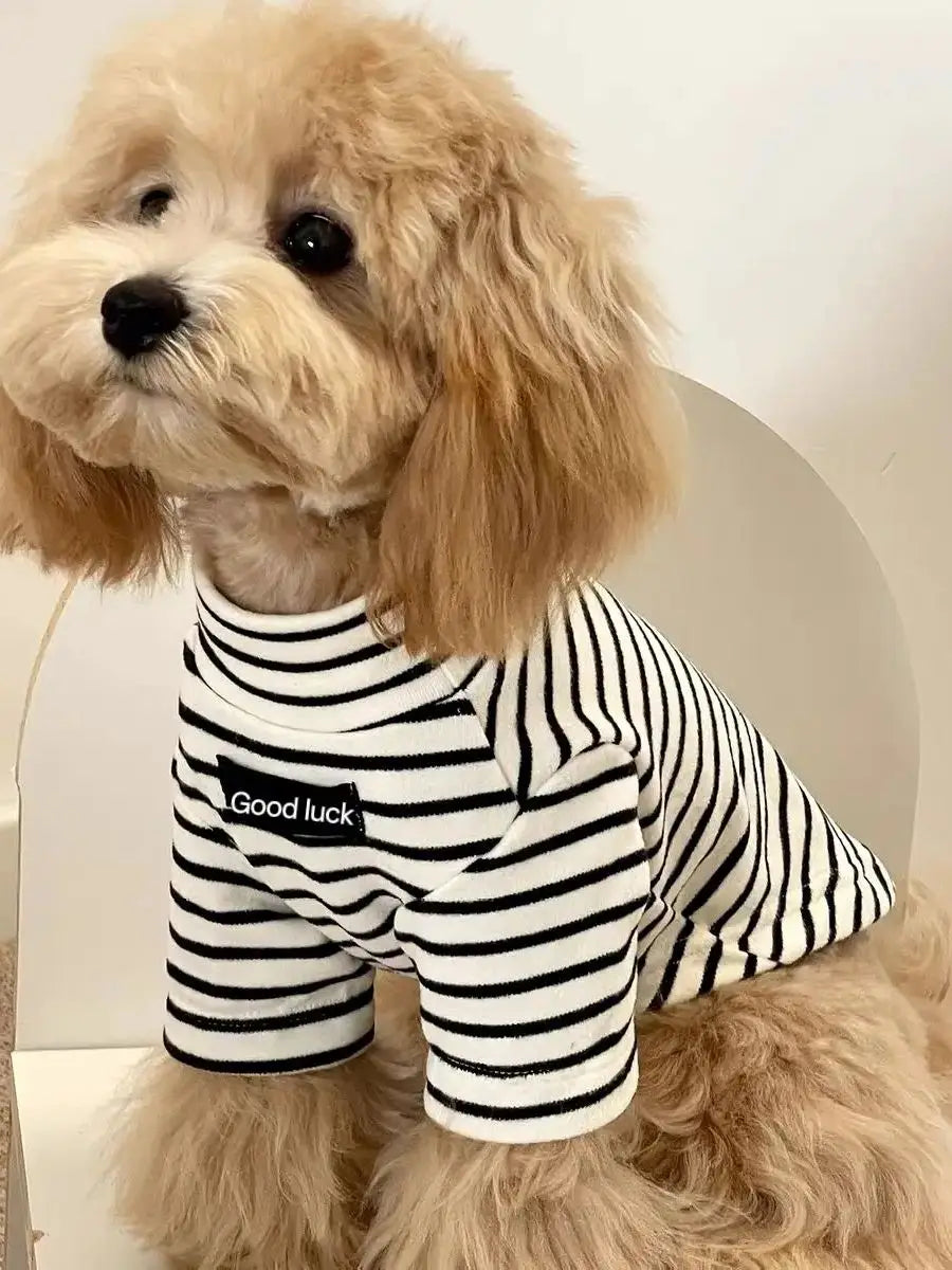 🍂 The "Main Character" Striped Thermal