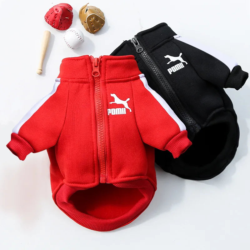 🏎️ The "Hype-Pup" Tracksuit