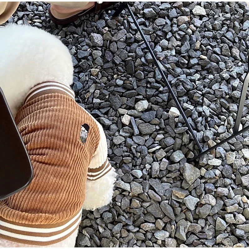 ⚾ The "Varsity Vibe" Baseball Jacket